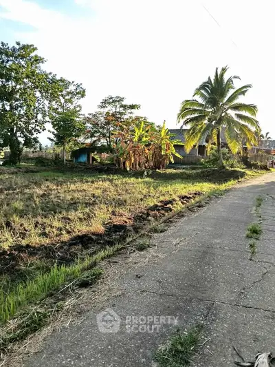 Scenic rural property with lush greenery and palm trees, ideal for tranquil living or farming opportunities.