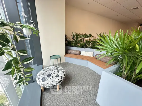 image_rental-28221039