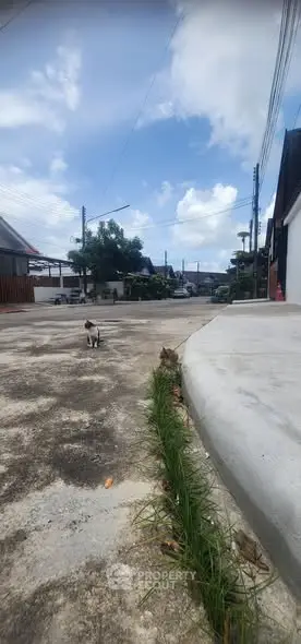 Charming neighborhood street view with clear skies and residential surroundings.