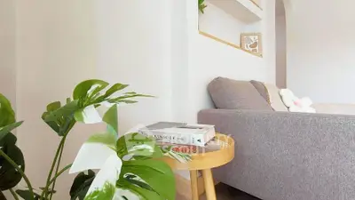 Modern living room with stylish sofa and decorative plants