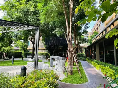 Lush garden area with modern pathways and greenery in a residential complex