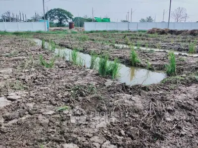 Expansive agricultural land with potential for development, featuring fertile soil and irrigation channels.