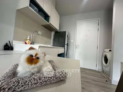 Modern kitchen with sleek appliances and cozy decor