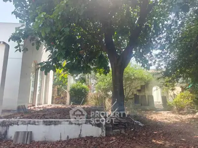 Charming garden view with lush greenery and architectural elements, perfect for nature lovers seeking tranquility.