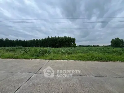 Expansive land plot with lush greenery and clear skies, ideal for development or investment opportunities.