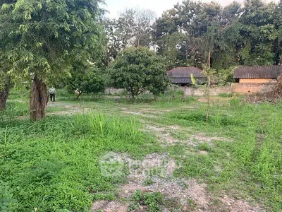 Spacious green land plot with trees, ideal for development or agriculture, surrounded by nature.