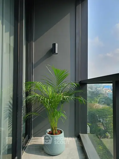 Modern balcony with potted plant and city view, perfect for relaxation.