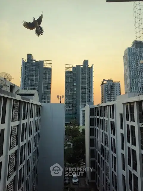 Stunning urban view with modern high-rise buildings at sunset, perfect for city living enthusiasts.