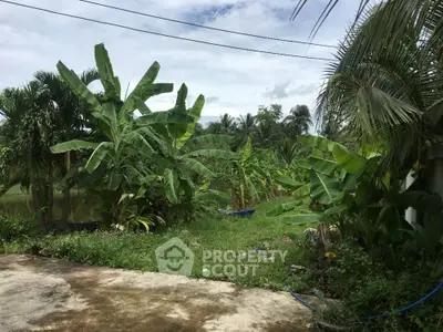 Lush tropical garden with banana and palm trees, ideal for serene outdoor living.