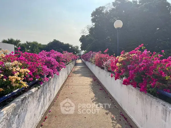 image_rental-21414885