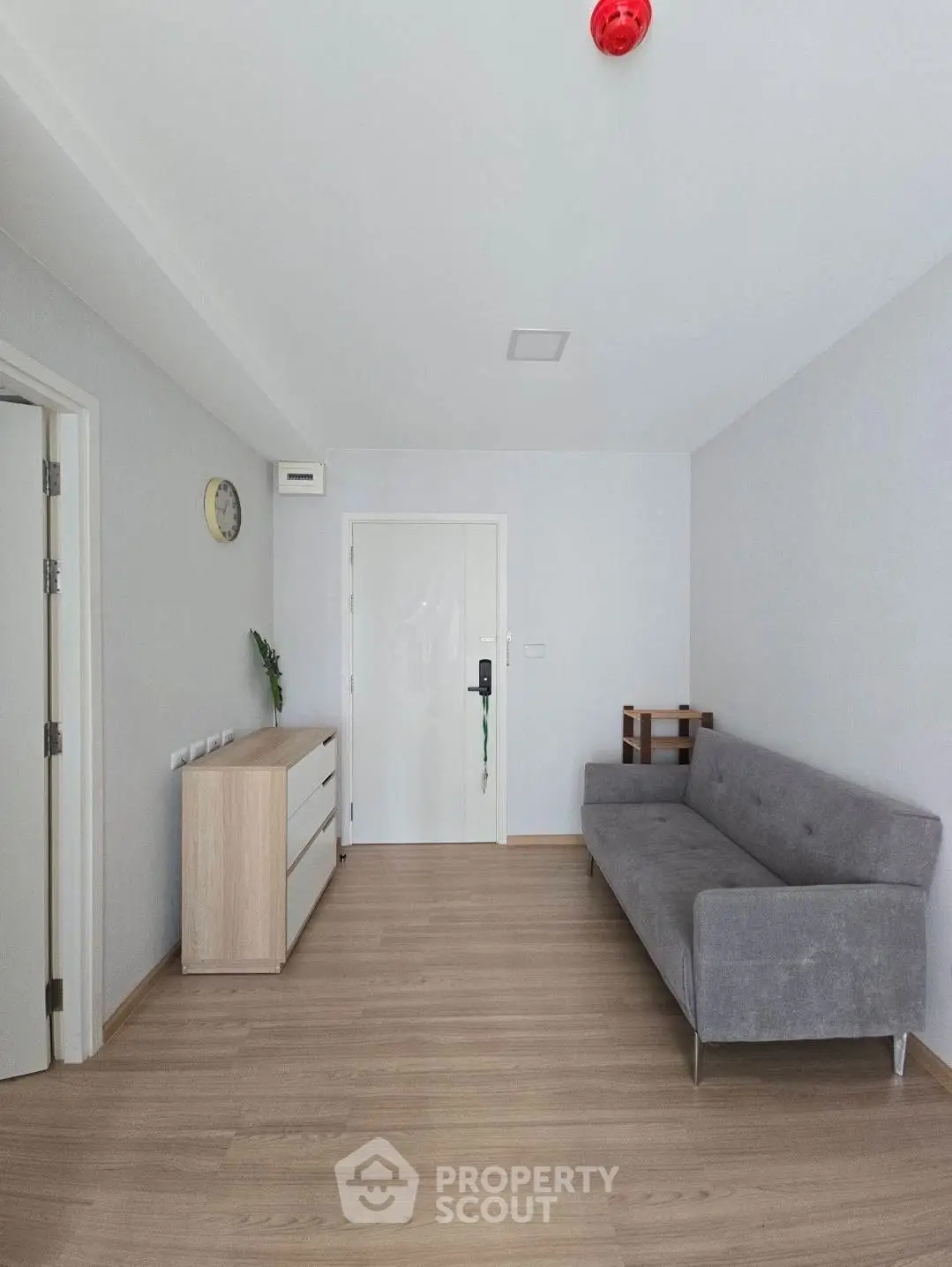 Minimalist living room with gray sofa and wooden flooring