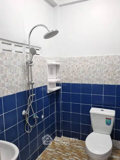 Modern bathroom with blue and white tiles, featuring a shower and toilet.