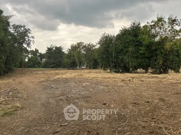 image_rental-22899576