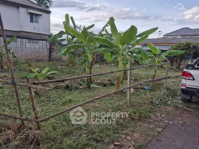 Spacious garden area with banana trees in a suburban neighborhood, ideal for landscaping or gardening enthusiasts.