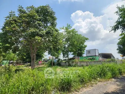 Spacious land plot with lush greenery and clear blue sky, ideal for development opportunities.