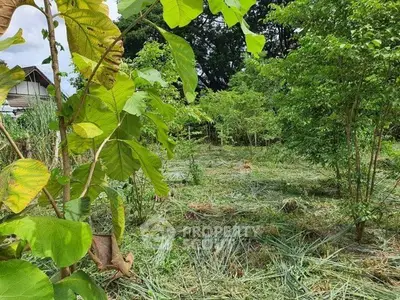 Lush green plot of land with potential for development, surrounded by trees and natural beauty.