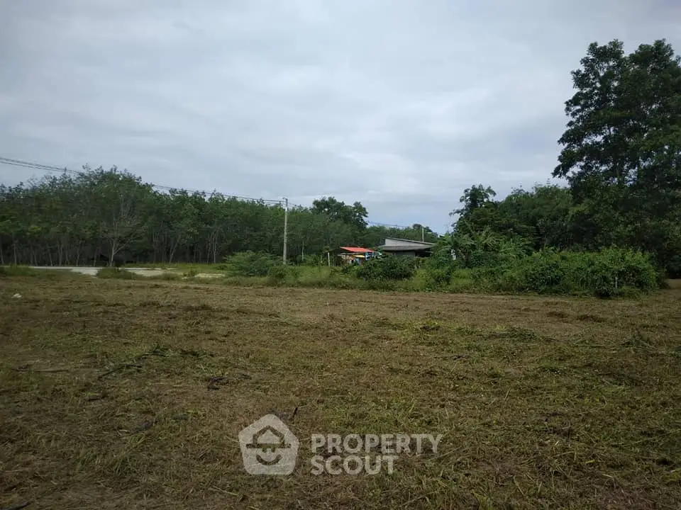 Expansive land plot with lush greenery and distant trees, perfect for development opportunities.
