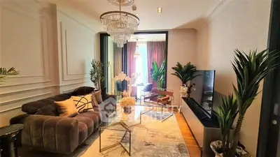 image_rental-19372500