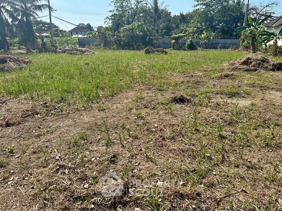 Spacious vacant land plot ideal for development in a serene neighborhood.
