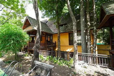 Charming rustic house with wooden accents surrounded by lush greenery and trees.