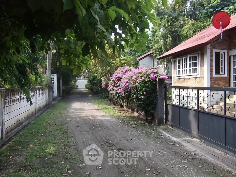 Charming suburban street with lush greenery and cozy homes, perfect for tranquil living.