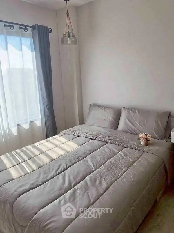 image_rental-29635013