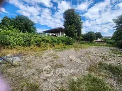 image_rental-31647428