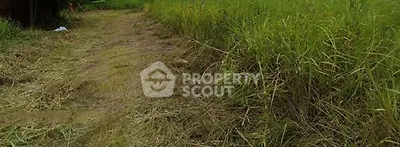 Screenshot_19-11-2025_211254_check.propertyscout.co.th.jpeg