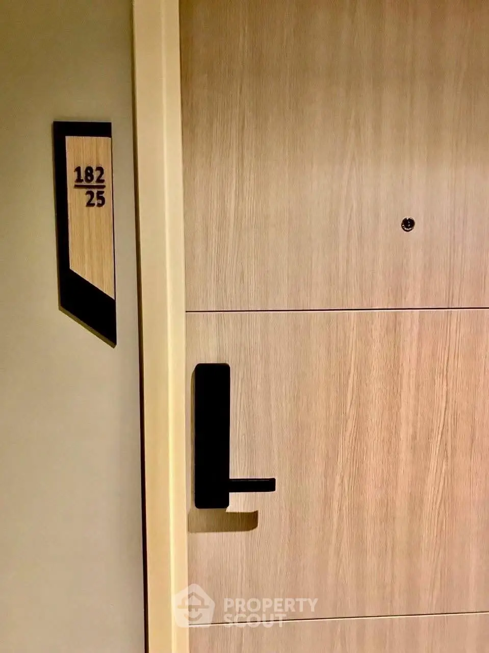 Modern apartment entrance with sleek wooden door and stylish handle
