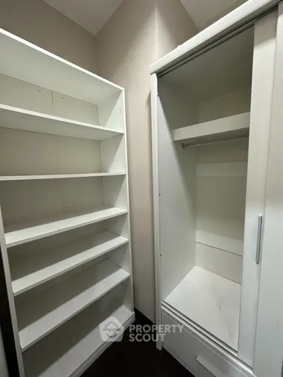 Spacious white storage room with shelving and closet space