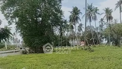Scenic land plot with lush greenery and palm trees, ideal for development or investment.