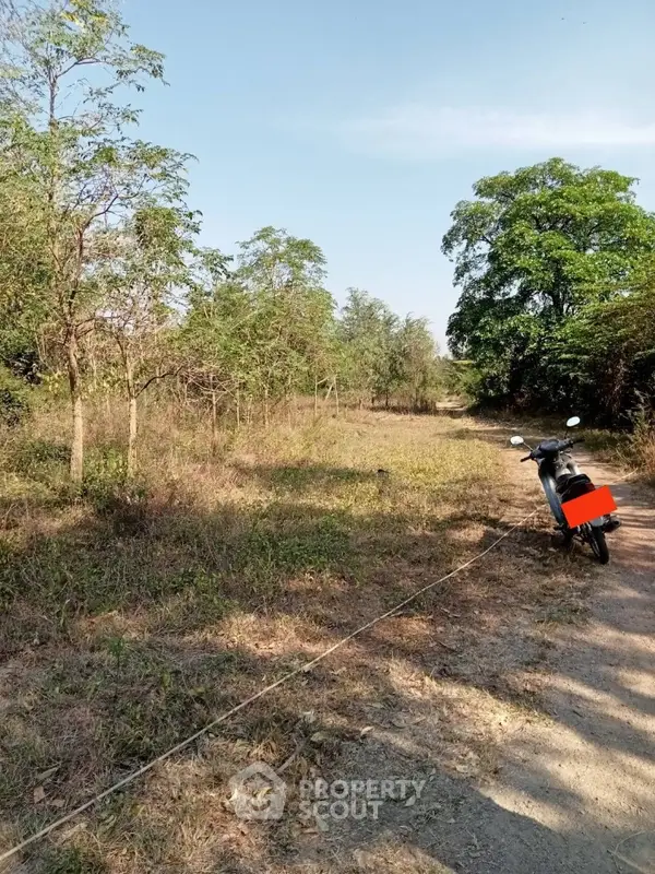 image_rental-13657069