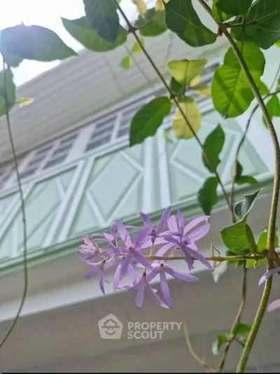Charming exterior view of a house with lush greenery and vibrant purple flowers.