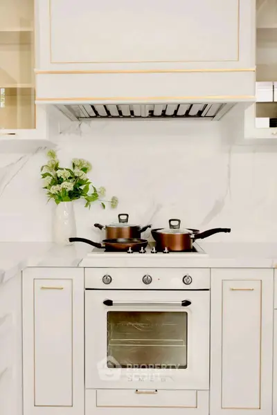 Luxurious kitchen with sleek white cabinetry and modern appliances