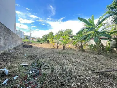 Spacious vacant land with lush greenery and clear blue sky, ideal for development opportunities.