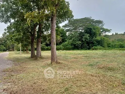 Spacious land plot with lush greenery and mature trees, ideal for development or agriculture.