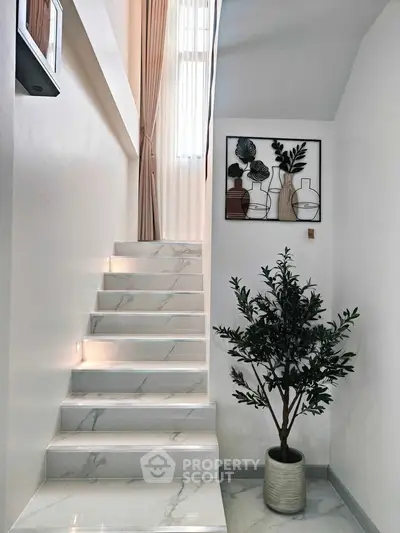Elegant staircase with marble steps and decorative plant in modern home