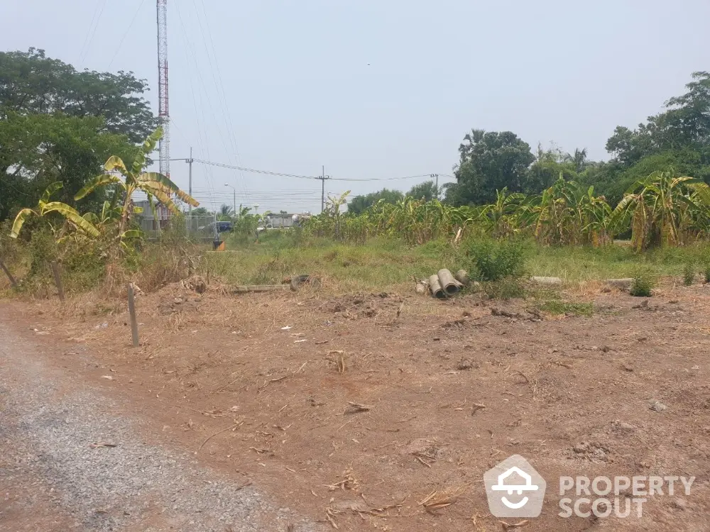 Spacious vacant land with potential for development, surrounded by greenery and accessible via gravel road.