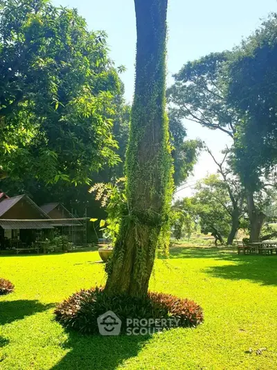 Lush garden with mature trees and vibrant greenery, perfect for outdoor relaxation.