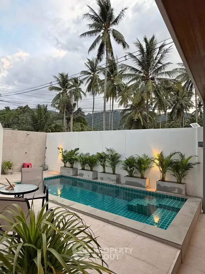 Luxurious private pool area with tropical palm trees and modern design, perfect for relaxation and entertainment.