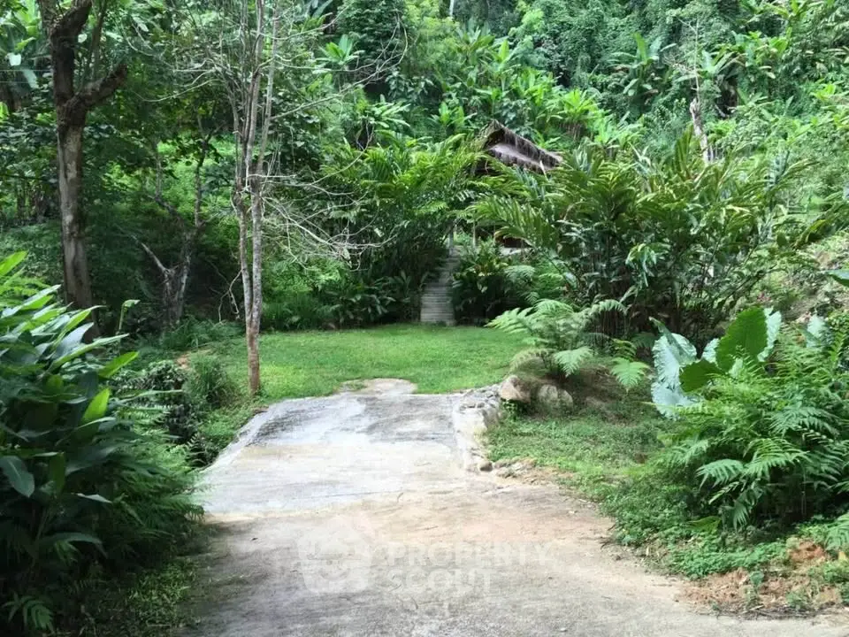 Lush green garden pathway leading to a secluded tropical retreat