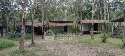 Rustic cabins in a serene forest setting with natural surroundings.