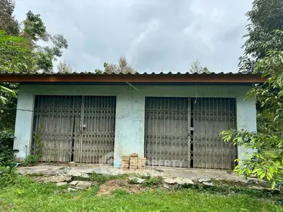 Charming rural property with dual garage doors and lush greenery.