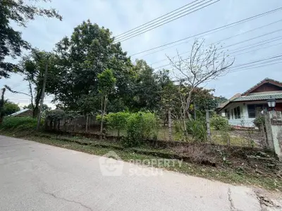 Charming suburban house with lush greenery and spacious front yard