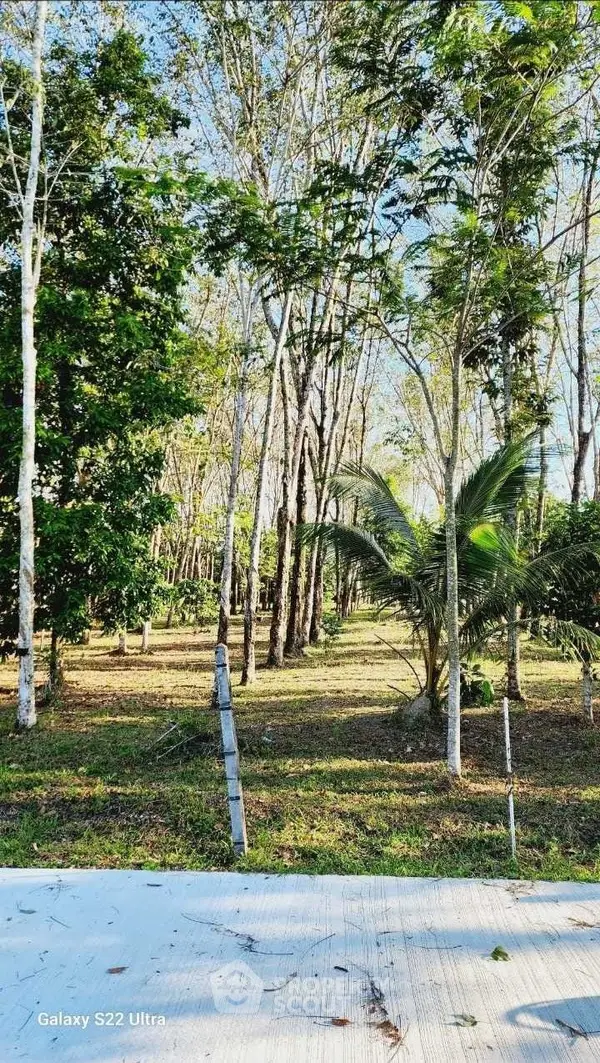 image_rental-27424072