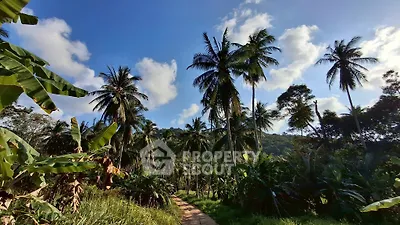 image_rental-31750924