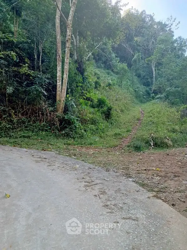 image_rental-27936048