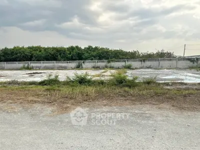 Spacious vacant land with potential for development, surrounded by greenery and a sturdy boundary wall.