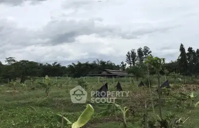 image_rental-21913066