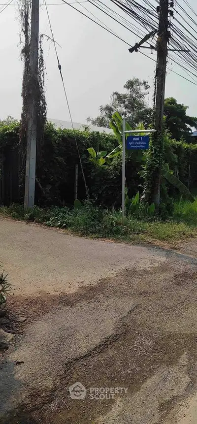 Charming rural road with lush greenery and utility poles, perfect for serene living.